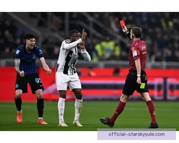 巴斯托尼踢出冬奥空中技巧表现